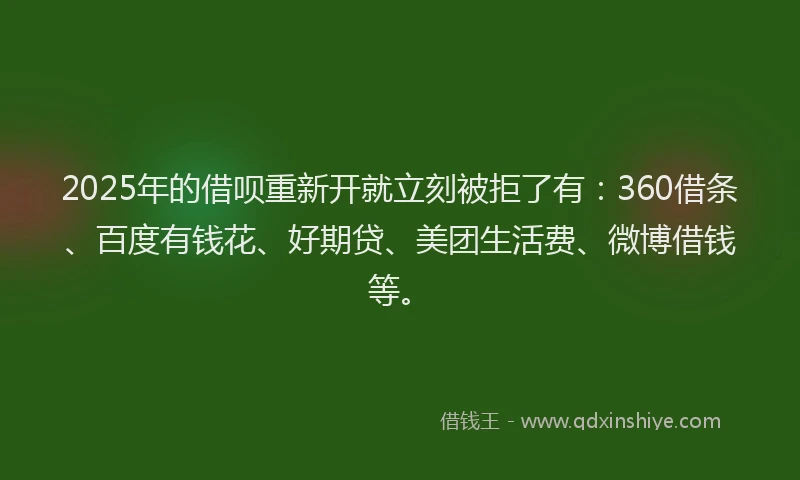 2025年的借呗重新开就立刻被拒了有：360借条、百度有钱花、好期贷、美团生活费、微博借钱等。
