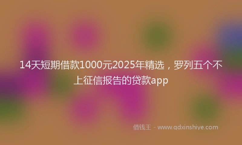 14天短期借款1000元2025年精选，罗列五个不上征信报告的贷款app