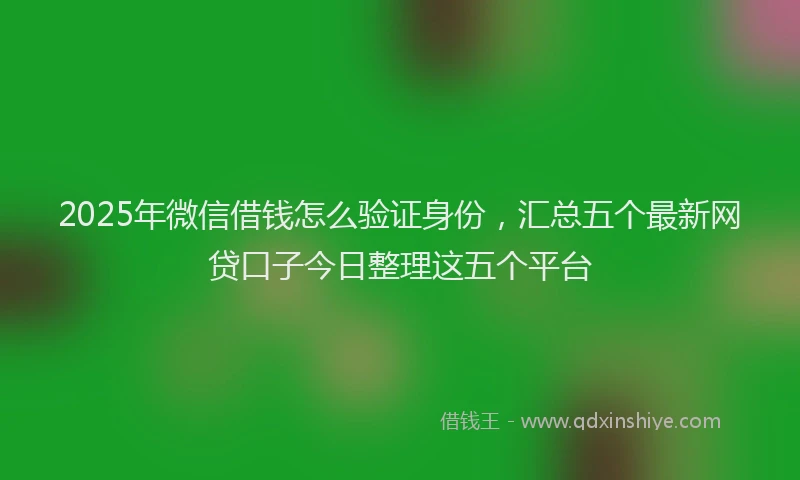 2025年微信借钱怎么验证身份，汇总五个最新网贷口子今日整理这五个平台