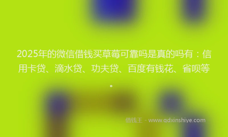 2025年的微信借钱买草莓可靠吗是真的吗有：信用卡贷、滴水贷、功夫贷、百度有钱花、省呗等。
