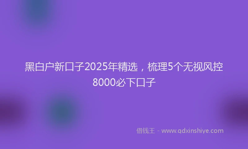 黑白户新口子2025年精选，梳理5个无视风控8000必下口子