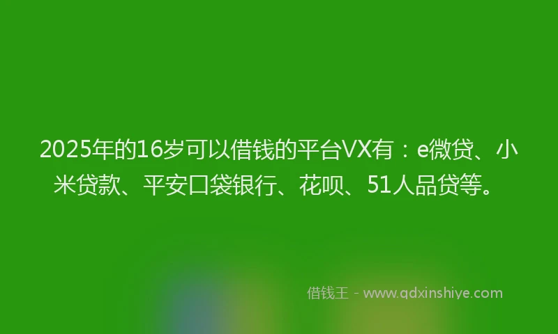 2025年的16岁可以借钱的平台VX有：e微贷、小米贷款、平安口袋银行、花呗、51人品贷等。