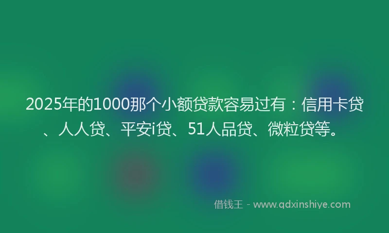 2025年的1000那个小额贷款容易过有：信用卡贷、人人贷、平安i贷、51人品贷、微粒贷等。
