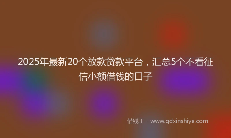 2025年最新20个放款贷款平台，汇总5个不看征信小额借钱的口子