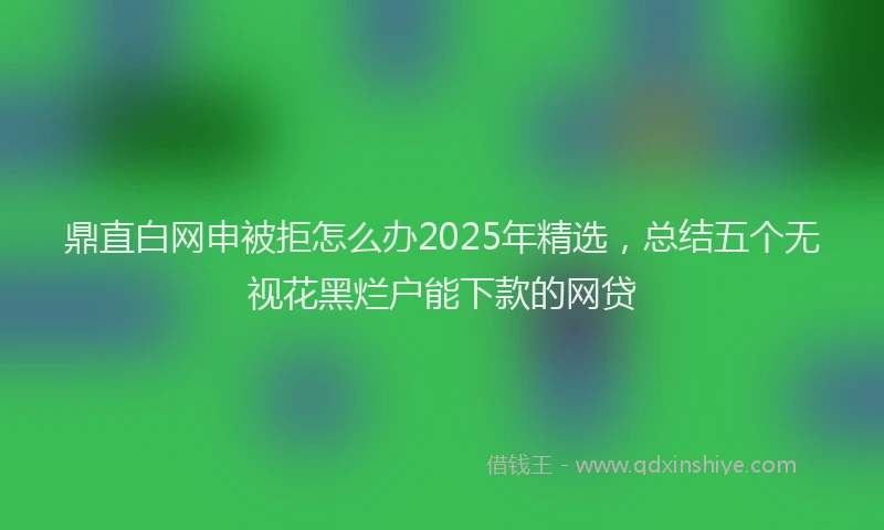 鼎直白网申被拒怎么办2025年精选，总结五个无视花黑烂户能下款的网贷