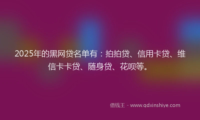 2025年的黑网贷名单有：拍拍贷、信用卡贷、维信卡卡贷、随身贷、花呗等。