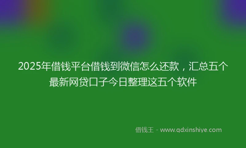 2025年借钱平台借钱到微信怎么还款，汇总五个最新网贷口子今日整理这五个软件