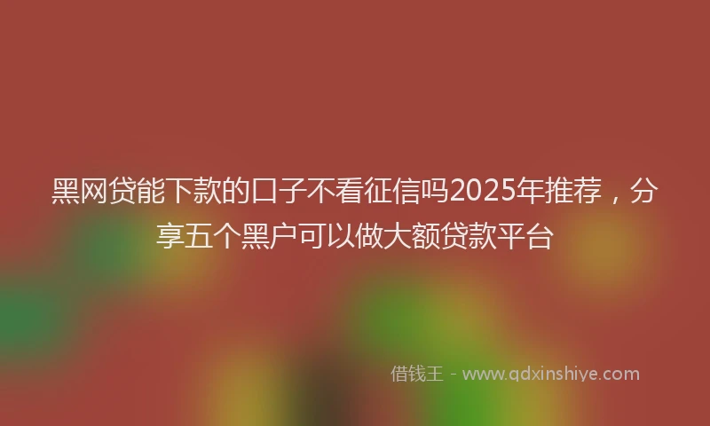 黑网贷能下款的口子不看征信吗2025年推荐，分享五个黑户可以做大额贷款平台