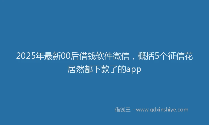 2025年最新00后借钱软件微信，概括5个征信花居然都下款了的app