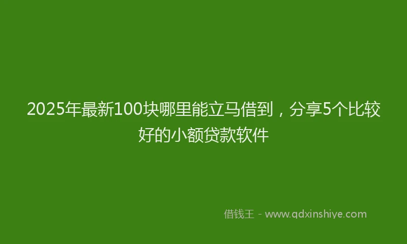 2025年最新100块哪里能立马借到，分享5个比较好的小额贷款软件