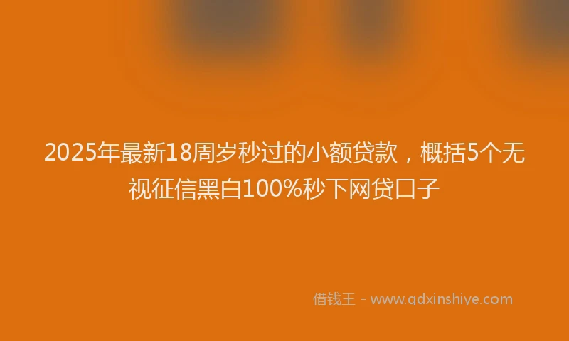 2025年最新18周岁秒过的小额贷款，概括5个无视征信黑白100%秒下网贷口子