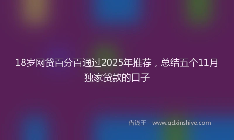 18岁网贷百分百通过2025年推荐，总结五个11月独家贷款的口子
