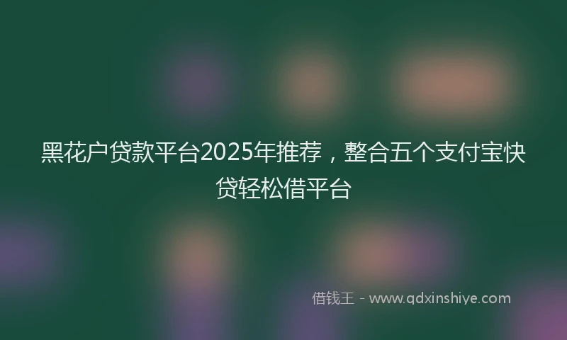 黑花户贷款平台2025年推荐，整合五个支付宝快贷轻松借平台