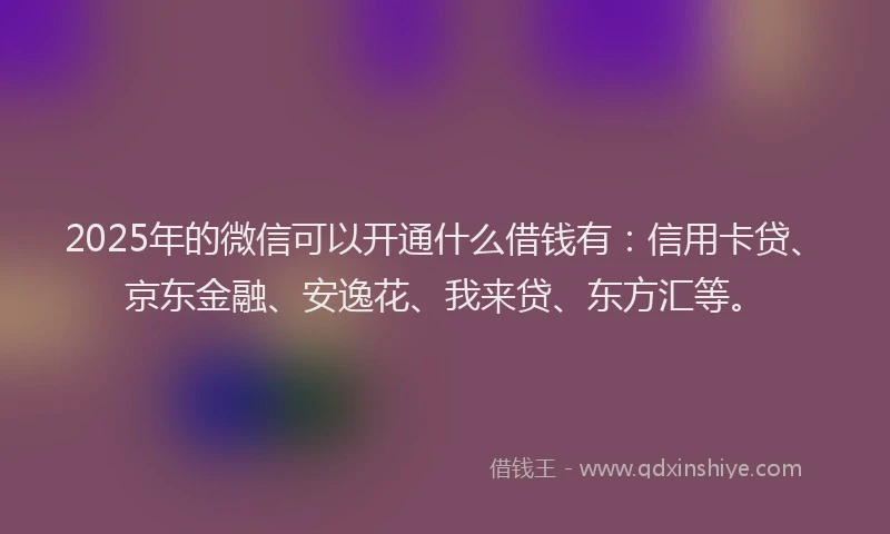 2025年的微信可以开通什么借钱有：信用卡贷、京东金融、安逸花、我来贷、东方汇等。