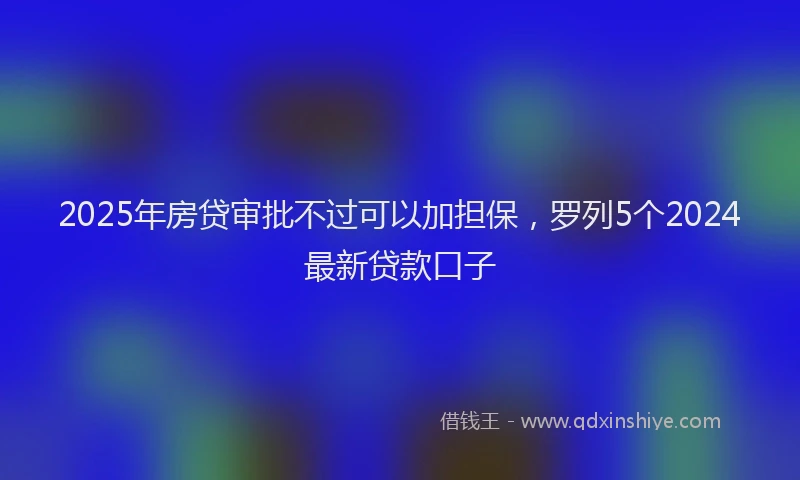 2025年房贷审批不过可以加担保，罗列5个2024最新贷款口子