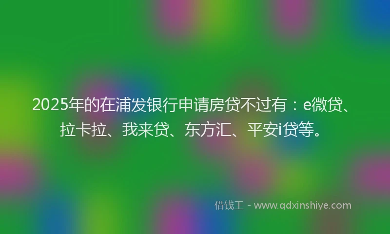 2025年的在浦发银行申请房贷不过有：e微贷、拉卡拉、我来贷、东方汇、平安i贷等。