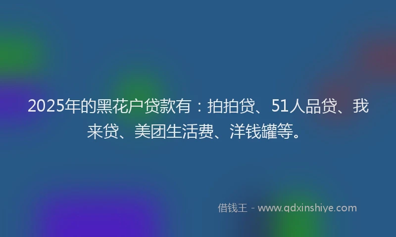 2025年的黑花户贷款有：拍拍贷、51人品贷、我来贷、美团生活费、洋钱罐等。