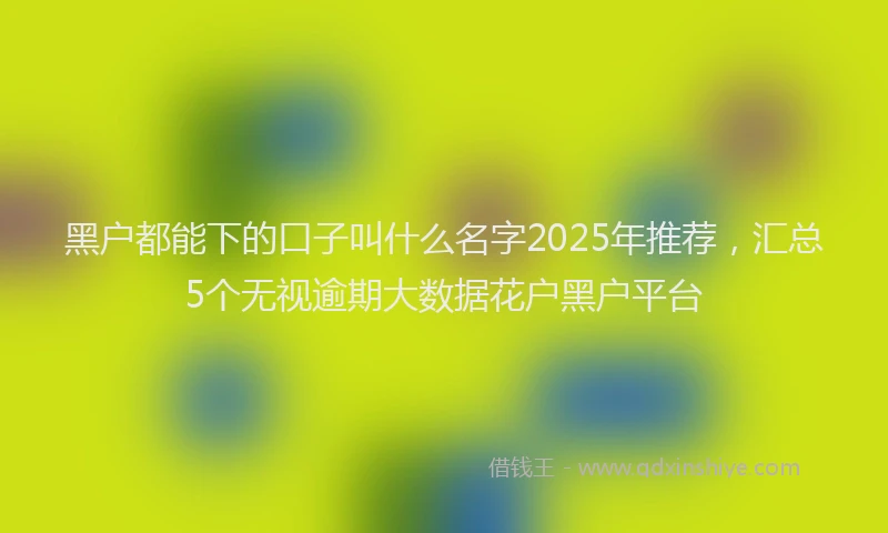 黑户都能下的口子叫什么名字2025年推荐，汇总5个无视逾期大数据花户黑户平台