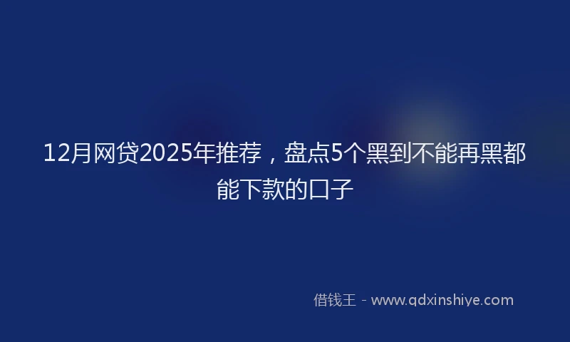 12月网贷2025年推荐，盘点5个黑到不能再黑都能下款的口子