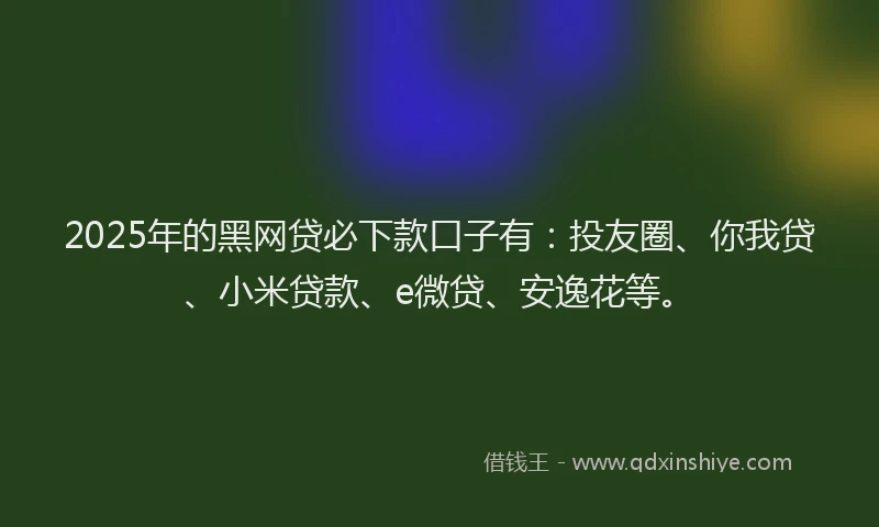 2025年的黑网贷必下款口子有：投友圈、你我贷、小米贷款、e微贷、安逸花等。