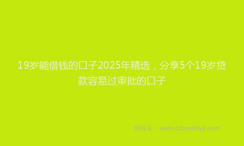 19岁能借钱的口子2025年精选，分享5个19岁贷款容易过审批的口子