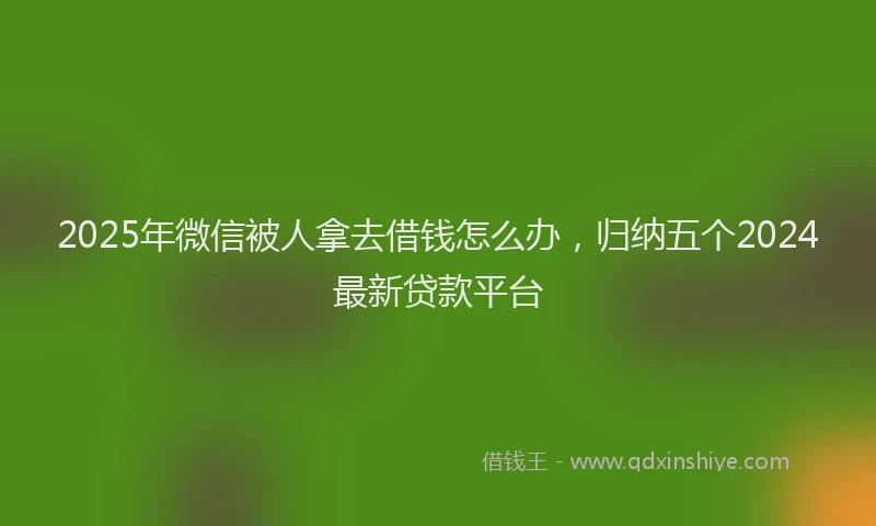 2025年微信被人拿去借钱怎么办，归纳五个2024最新贷款平台