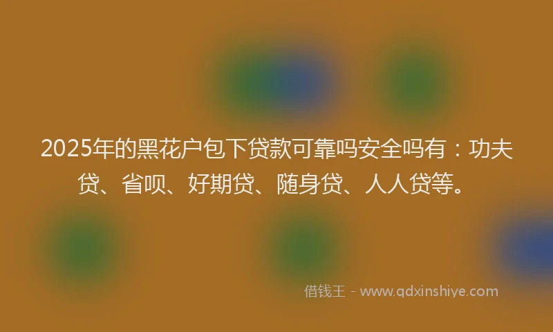 2025年的黑花户包下贷款可靠吗安全吗有：功夫贷、省呗、好期贷、随身贷、人人贷等。