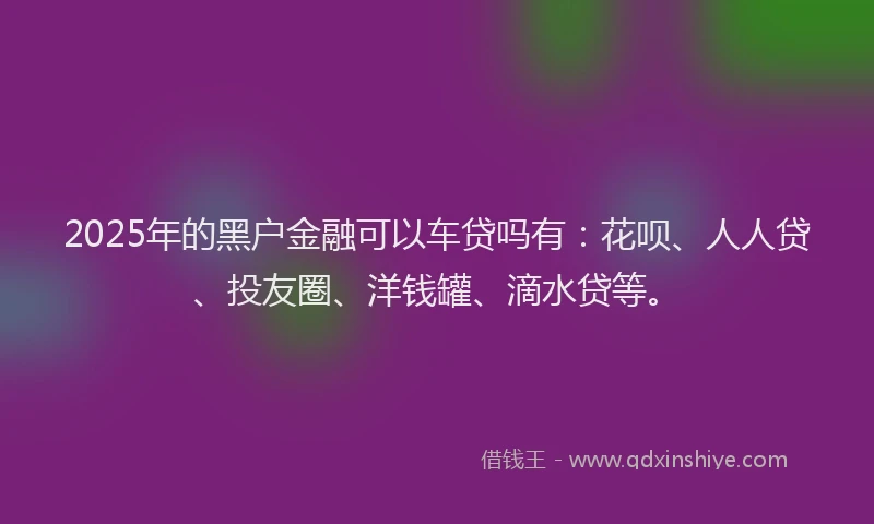 2025年的黑户金融可以车贷吗有：花呗、人人贷、投友圈、洋钱罐、滴水贷等。