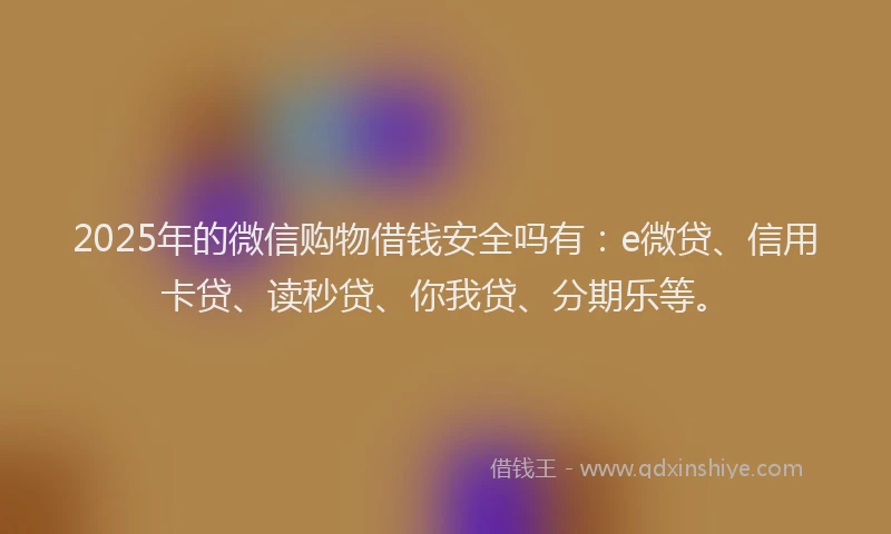 2025年的微信购物借钱安全吗有：e微贷、信用卡贷、读秒贷、你我贷、分期乐等。
