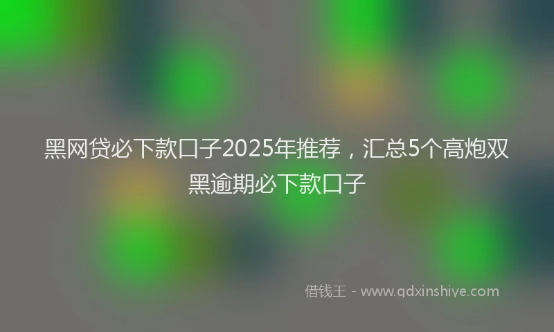 黑网贷必下款口子2025年推荐，汇总5个高炮双黑逾期必下款口子