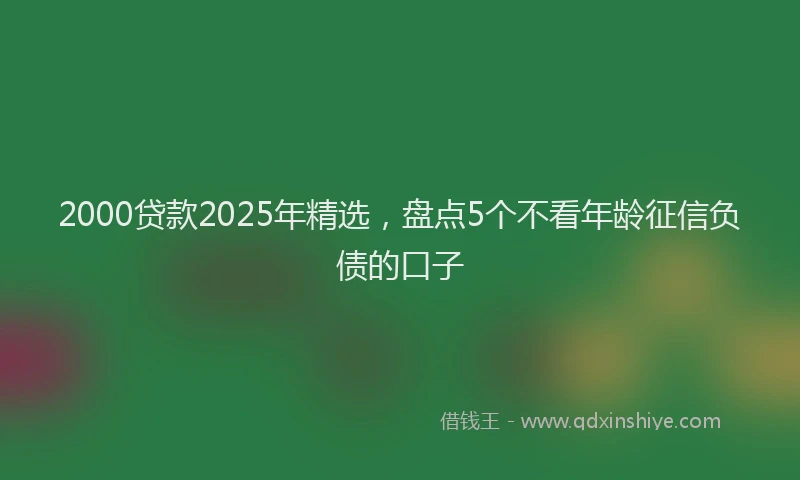 2000贷款2025年精选，盘点5个不看年龄征信负债的口子