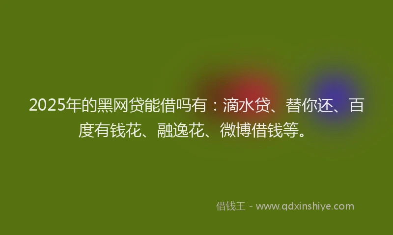 2025年的黑网贷能借吗有：滴水贷、替你还、百度有钱花、融逸花、微博借钱等。