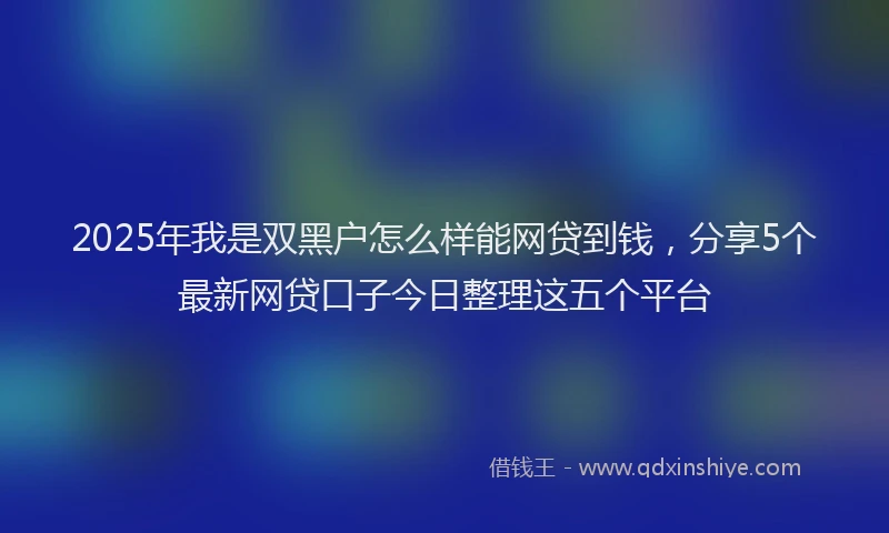 2025年我是双黑户怎么样能网贷到钱，分享5个最新网贷口子今日整理这五个平台