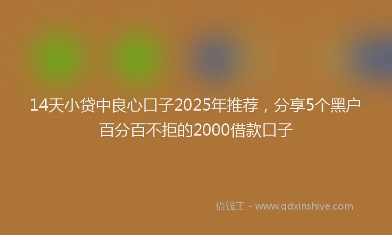 14天小贷中良心口子2025年推荐，分享5个黑户百分百不拒的2000借款口子