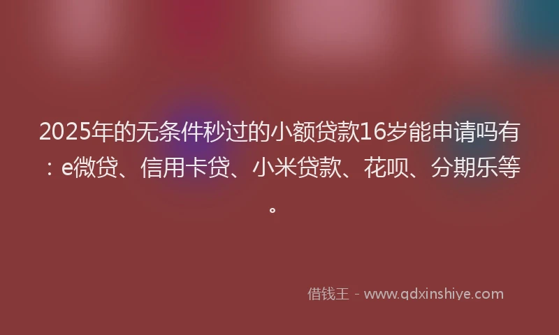 2025年的无条件秒过的小额贷款16岁能申请吗有：e微贷、信用卡贷、小米贷款、花呗、分期乐等。