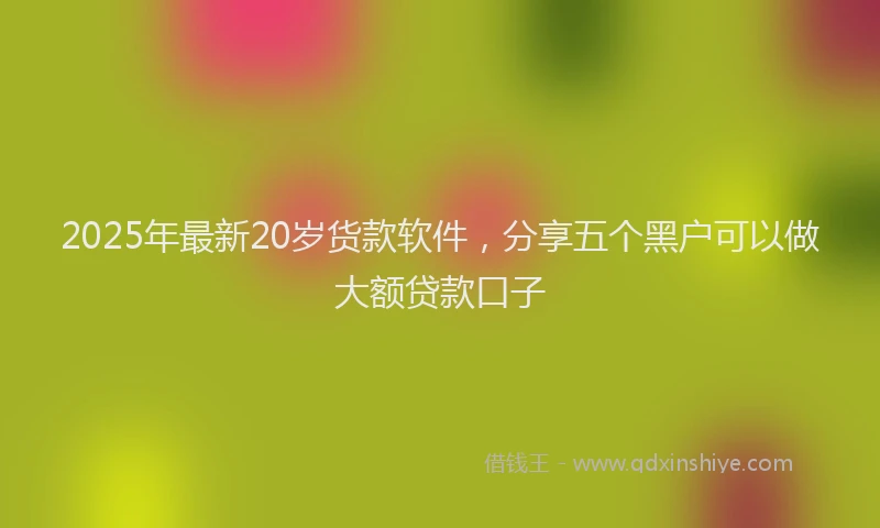 2025年最新20岁货款软件，分享五个黑户可以做大额贷款口子