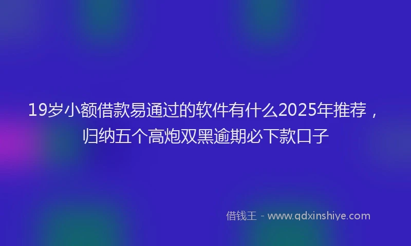 19岁小额借款易通过的软件有什么2025年推荐，归纳五个高炮双黑逾期必下款口子