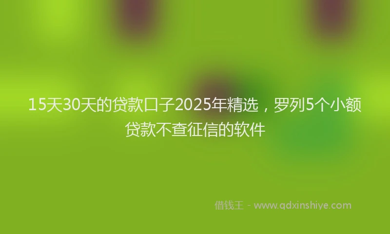 15天30天的贷款口子2025年精选，罗列5个小额贷款不查征信的软件