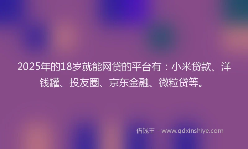 2025年的18岁就能网贷的平台有：小米贷款、洋钱罐、投友圈、京东金融、微粒贷等。