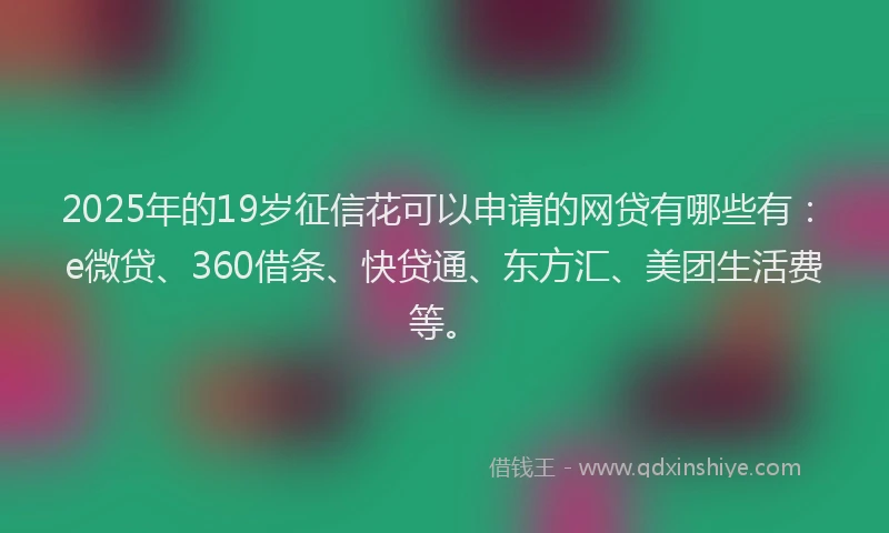 2025年的19岁征信花可以申请的网贷有哪些有：e微贷、360借条、快贷通、东方汇、美团生活费等。