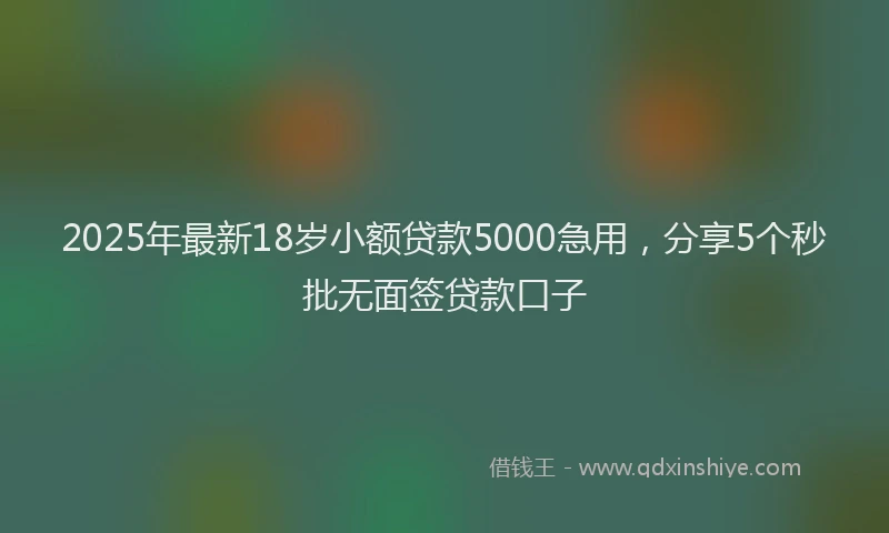 2025年最新18岁小额贷款5000急用，分享5个秒批无面签贷款口子