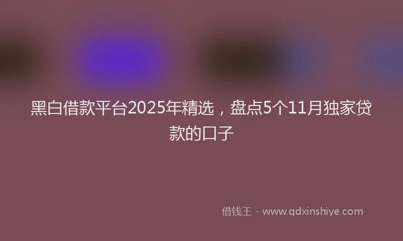 黑白借款平台2025年精选，盘点5个11月独家贷款的口子