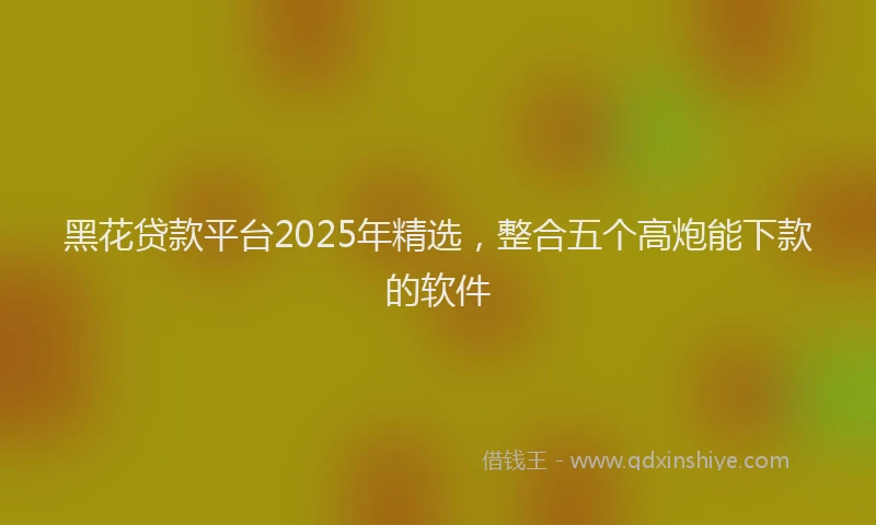 黑花贷款平台2025年精选，整合五个高炮能下款的软件