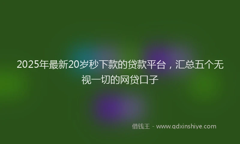 2025年最新20岁秒下款的贷款平台，汇总五个无视一切的网贷口子