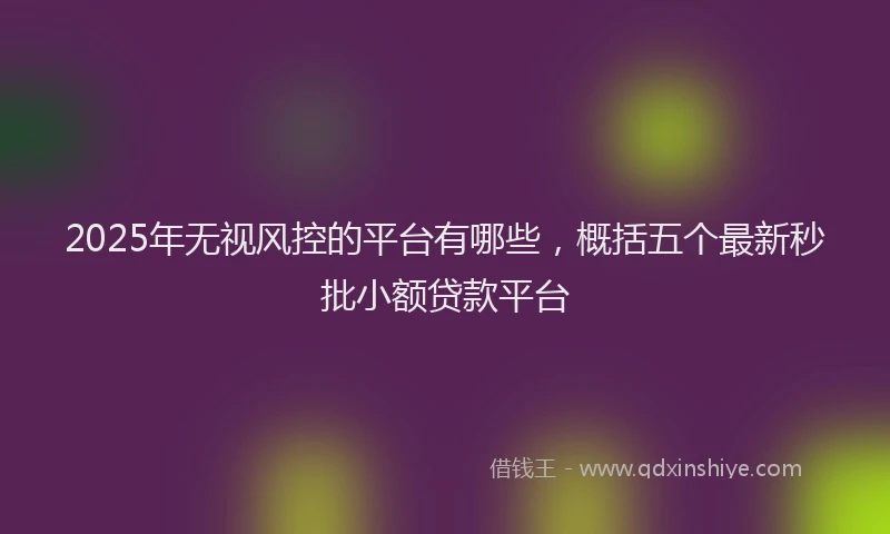 2025年无视风控的平台有哪些，概括五个最新秒批小额贷款平台