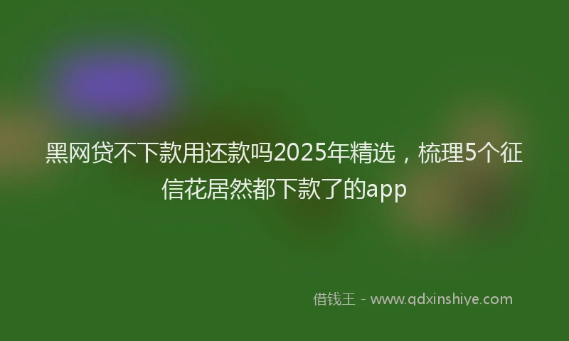 黑网贷不下款用还款吗2025年精选，梳理5个征信花居然都下款了的app