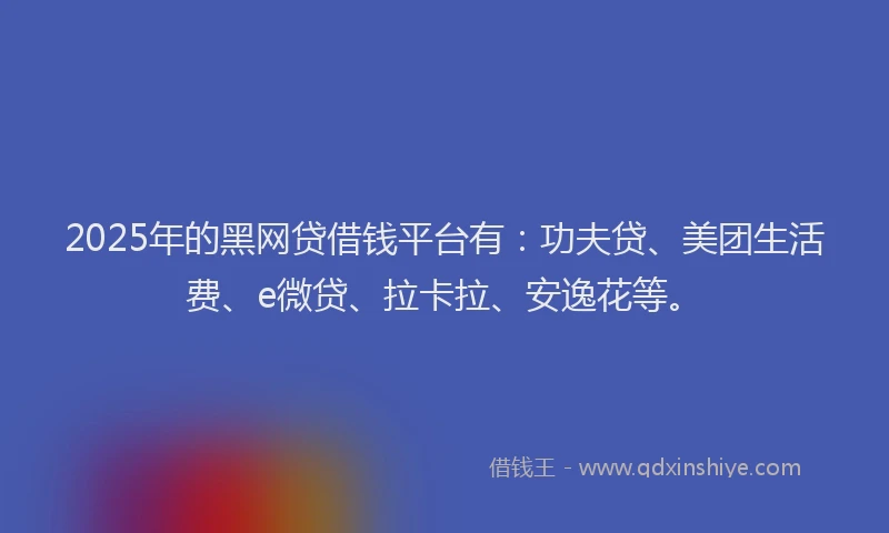 2025年的黑网贷借钱平台有：功夫贷、美团生活费、e微贷、拉卡拉、安逸花等。