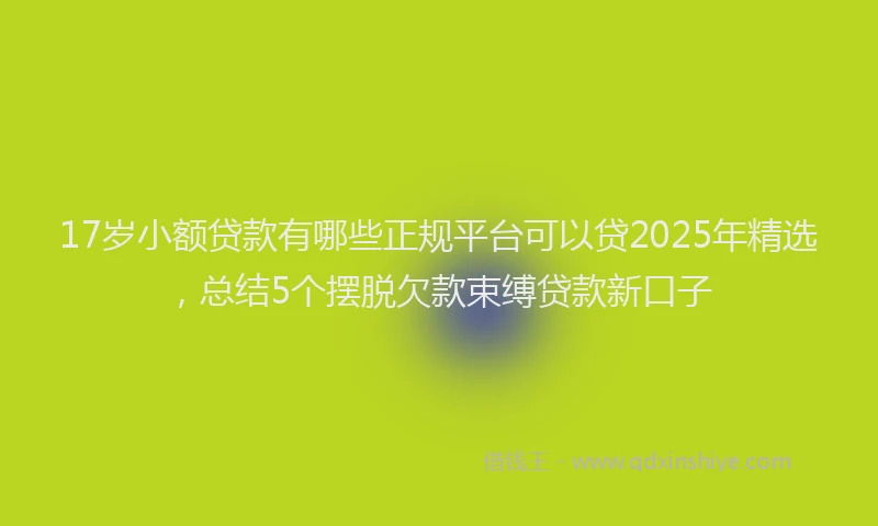 17岁小额贷款有哪些正规平台可以贷2025年精选，总结5个摆脱欠款束缚贷款新口子