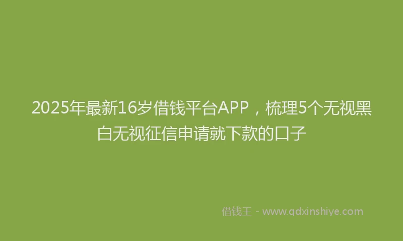 2025年最新16岁借钱平台APP，梳理5个无视黑白无视征信申请就下款的口子