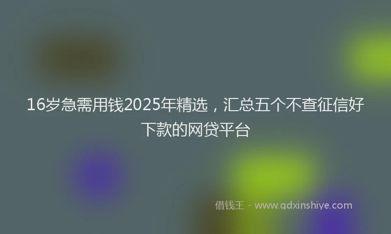 16岁急需用钱2025年精选，汇总五个不查征信好下款的网贷平台